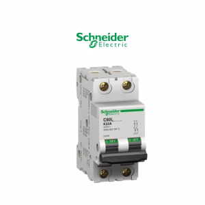 Disjoncteur C60L – C32A – 2P – courbe K