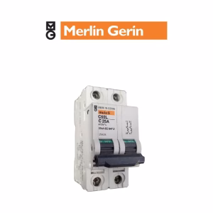 Disjoncteur C60L – C25A – 2P – courbe C