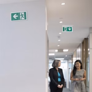 BAES d’évacuation Sati – 45lm/1h – IP43 – IK07